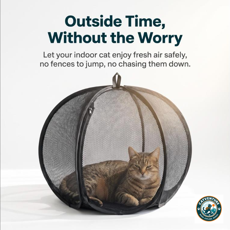CatVenture™