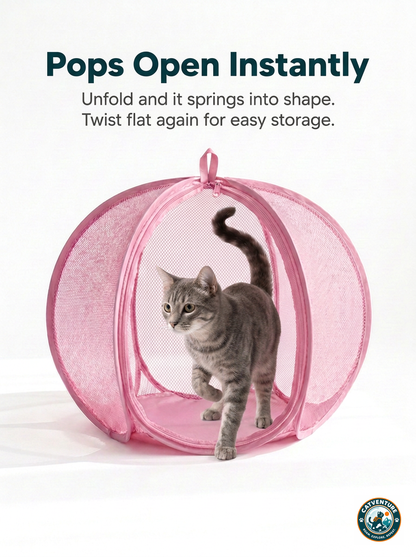 CatVenture™