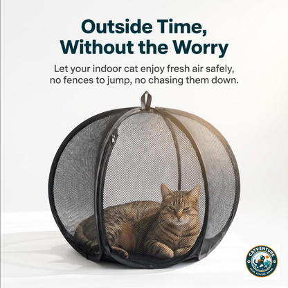 CatVenture™